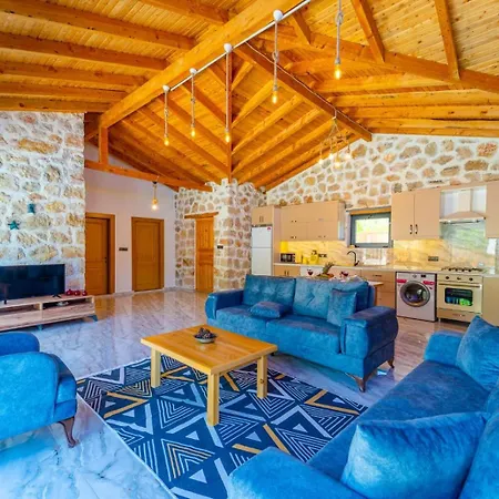 Cevizici Vila Kaş