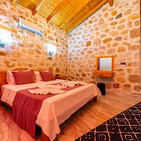 Cevizici Vila Kaş